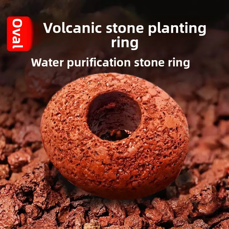 Planted Aquarium Care - Aquarium Volcanic Rock Fish Tank Planting