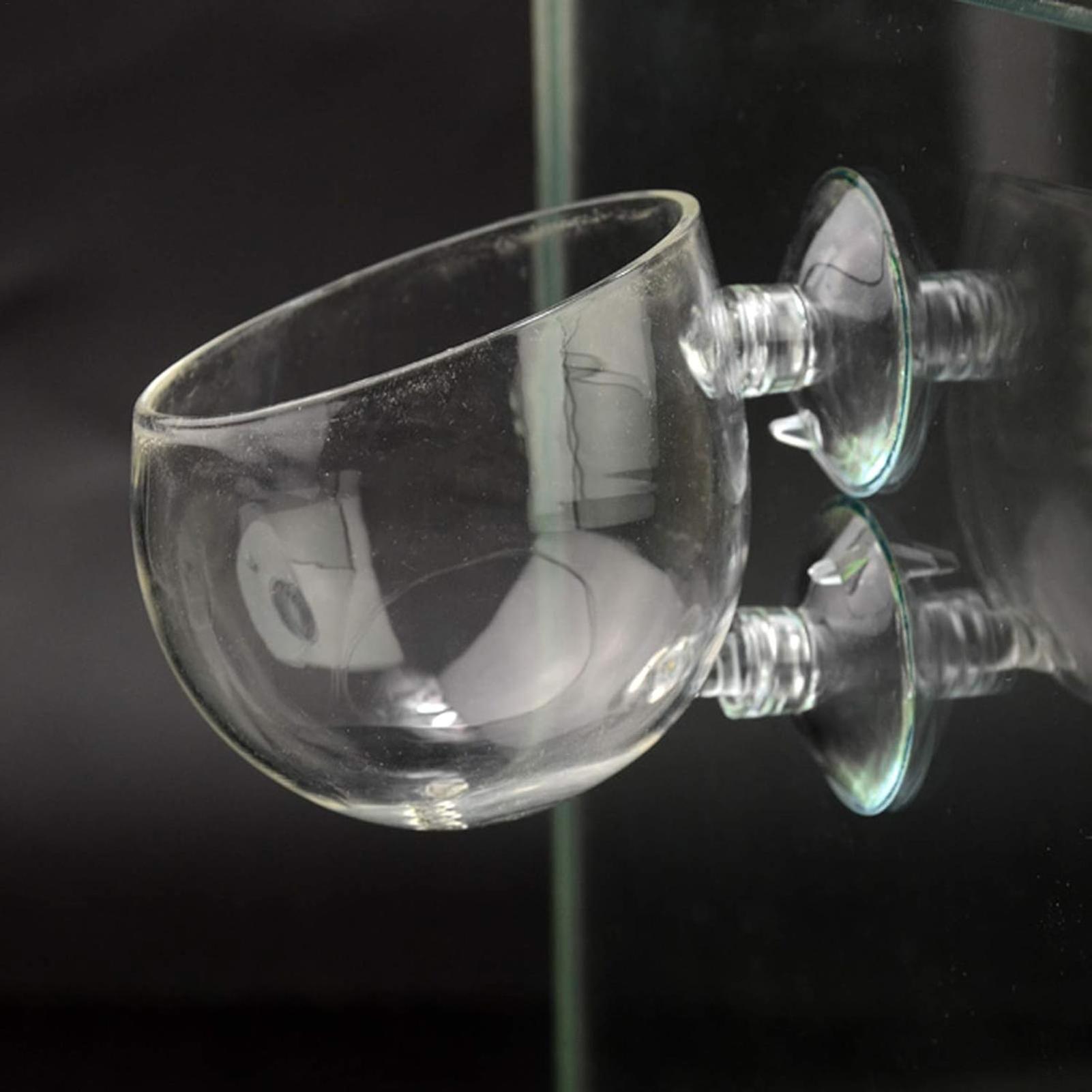 Aquarium Plant Holder Glass Aq - Aquarium Plant Vine review and price
