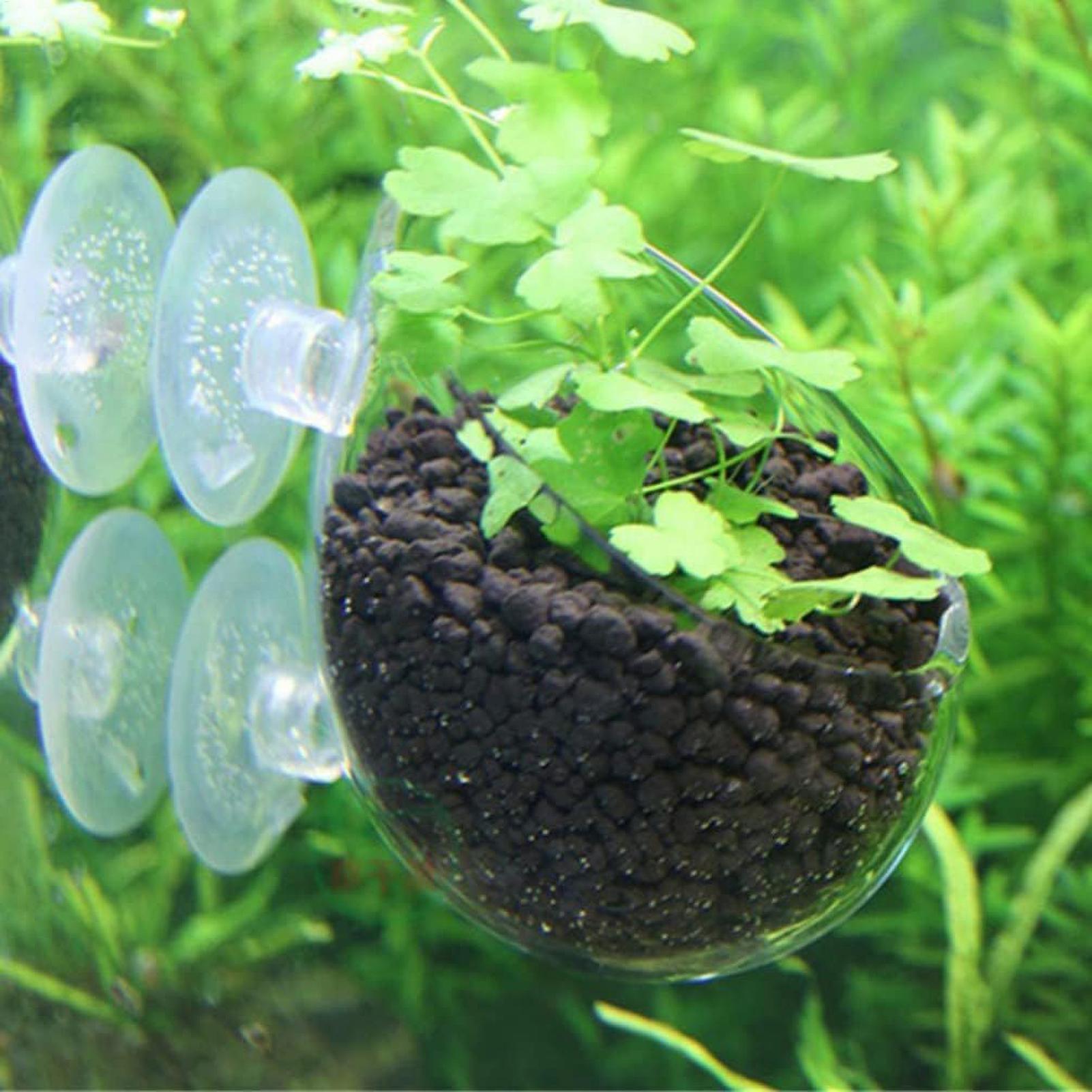 Aquarium Plant Holder Glass Aq - Aquarium Plant Vine review and price