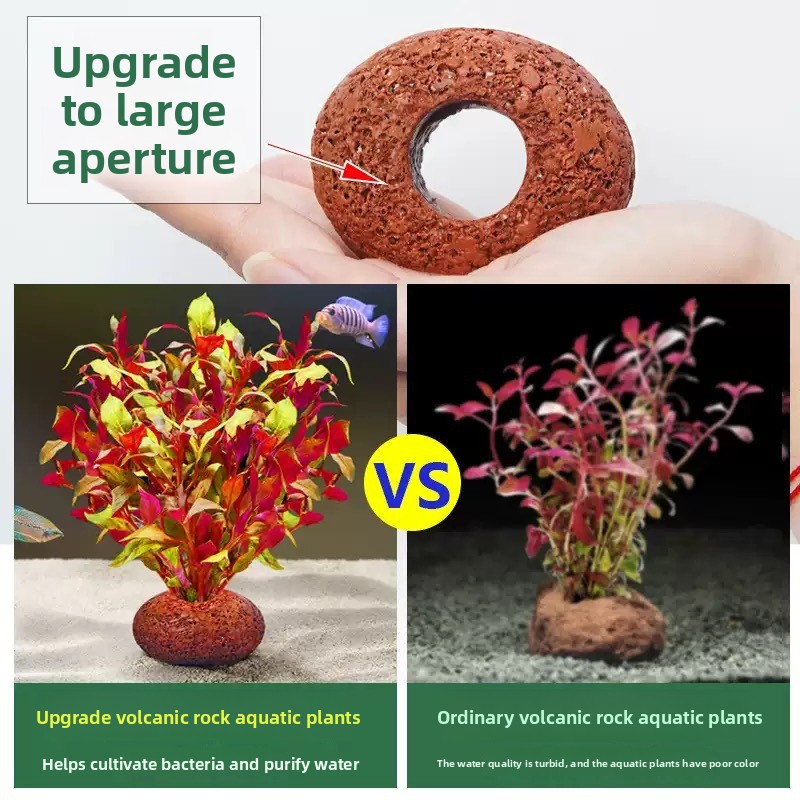 Aquarium Volcanic Rock Fish Ta - Planted Aquarium Care review and price