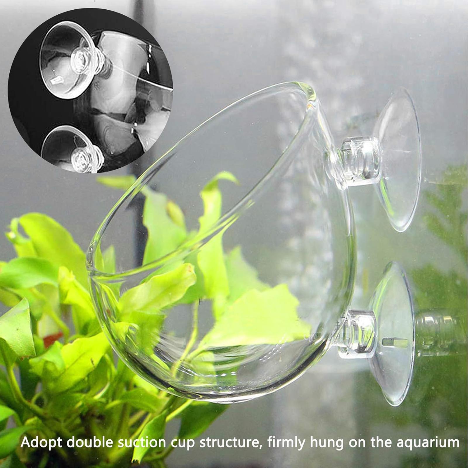 Aquarium Glass Plant Pot with  - Aquarium Plant Vine review and price