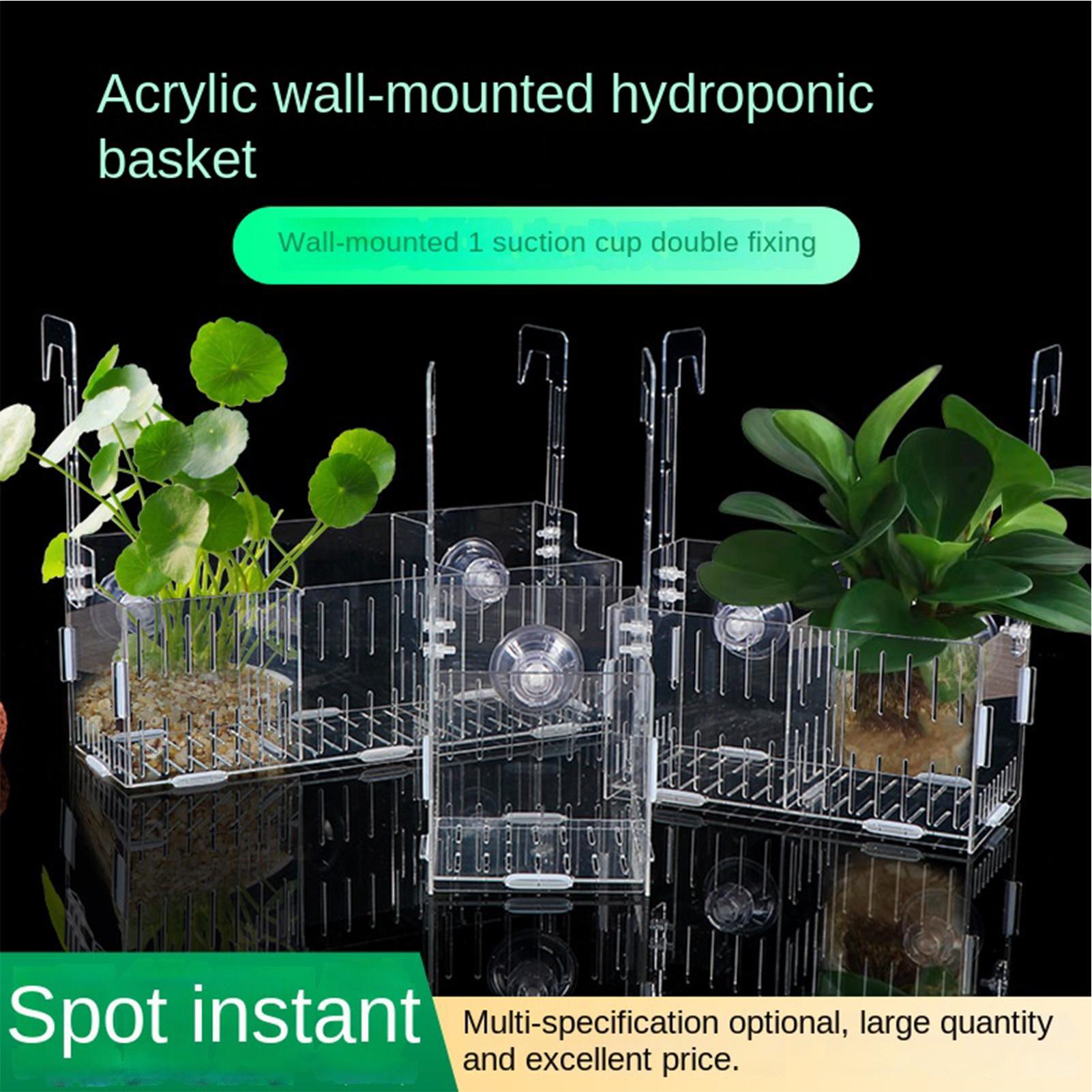 Acrylic Aquarium Plant Holder  - Aquarium Plant Vine review and price