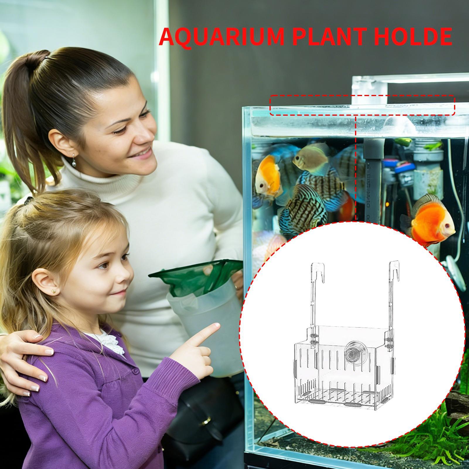 Acrylic Aquarium Plant Holder  - Aquarium Plant Vine review and price