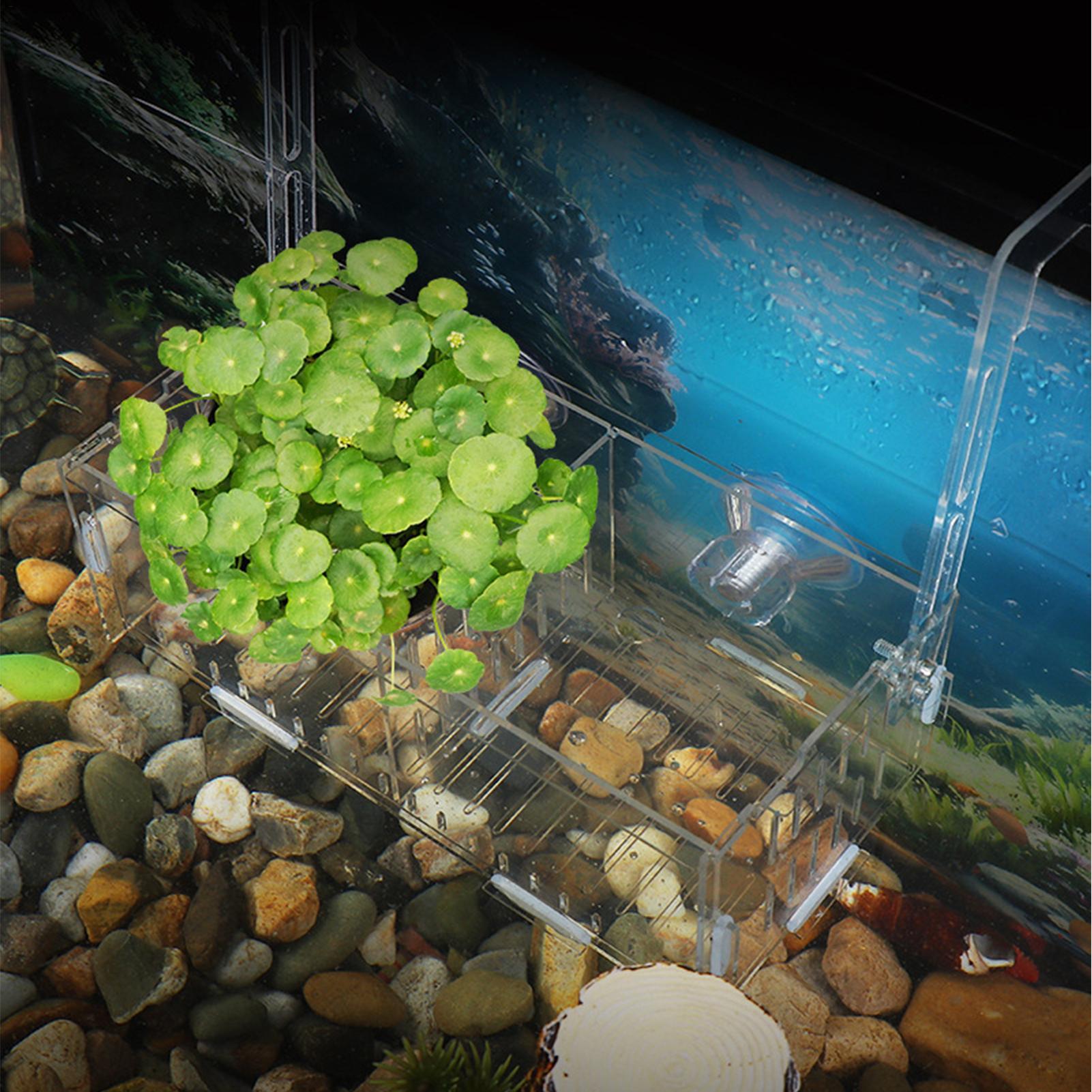 Acrylic Aquarium Plant Holder  - Aquarium Plant Vine review and price