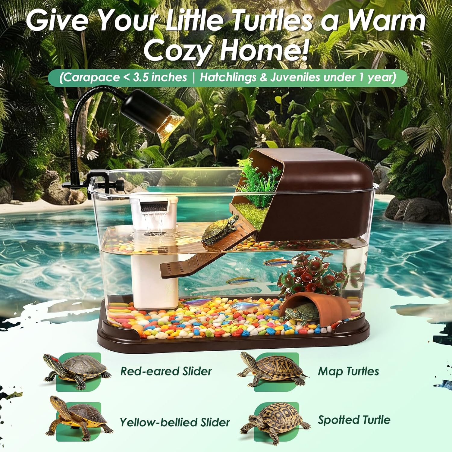Turtle Tank Starter Kit,PC Tur - Planted Aquarium Starter Kit review and price
