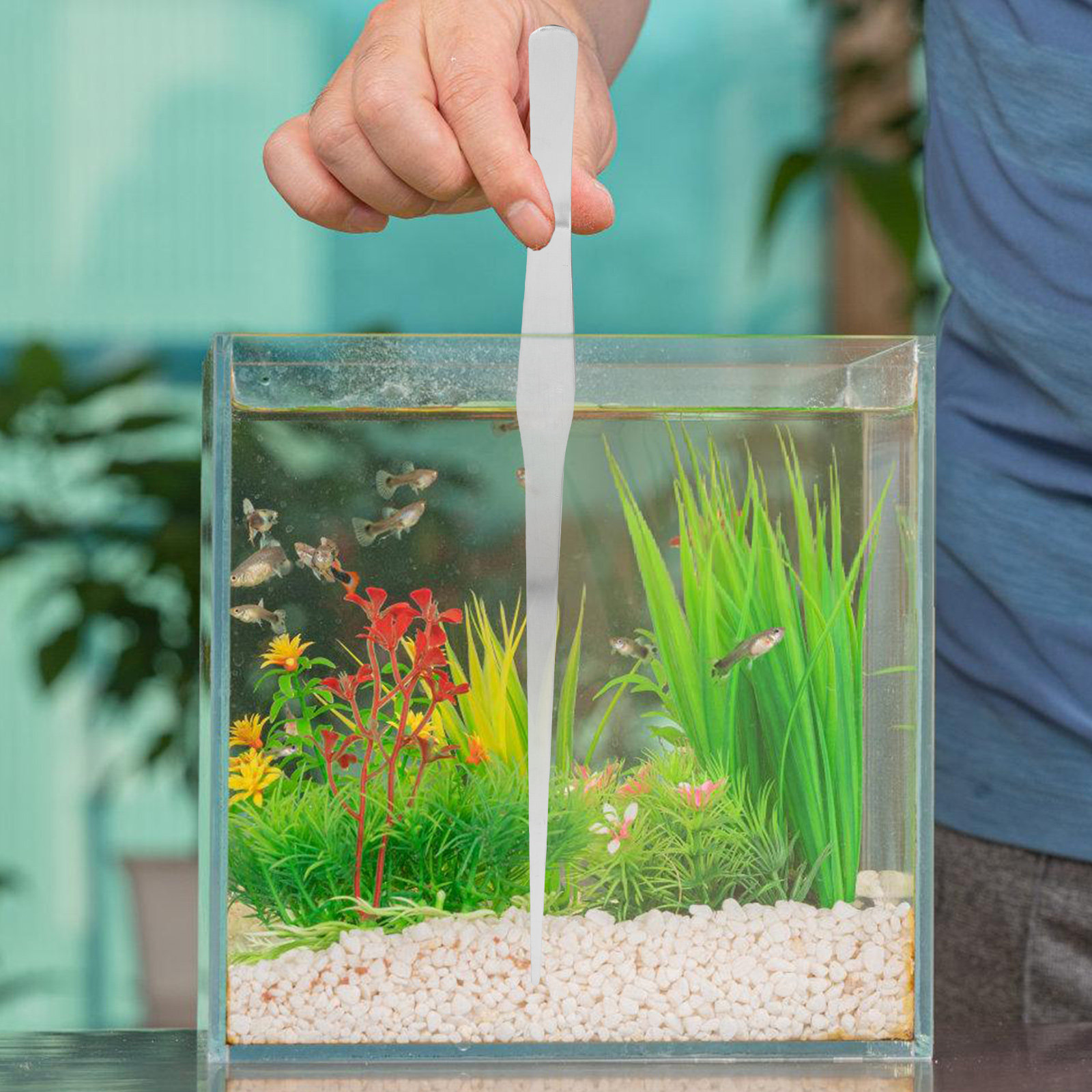 Water Plant Tweezer Stainless  - Aquarium Plant Gravel review and price