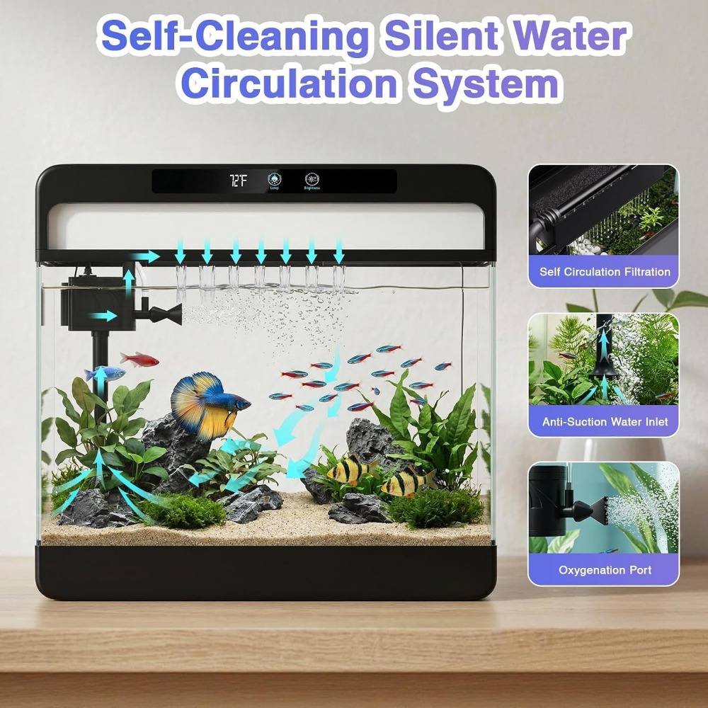 3 Gallon Fish Tank Starter Kit - Planted Aquarium Starter Kit review and price