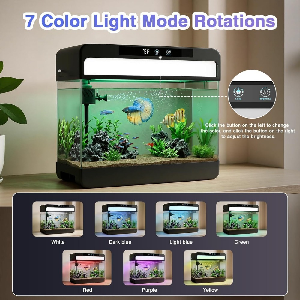 3 Gallon Fish Tank Starter Kit - Planted Aquarium Starter Kit review and price
