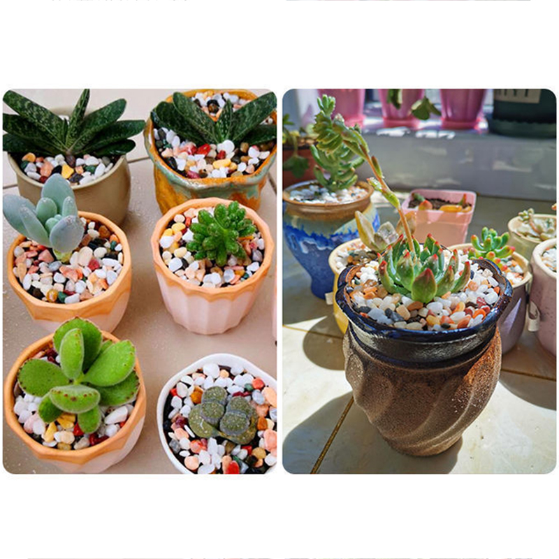 Natural Gravel Stone 200~1000g - Aquarium Plant Gravel review and price