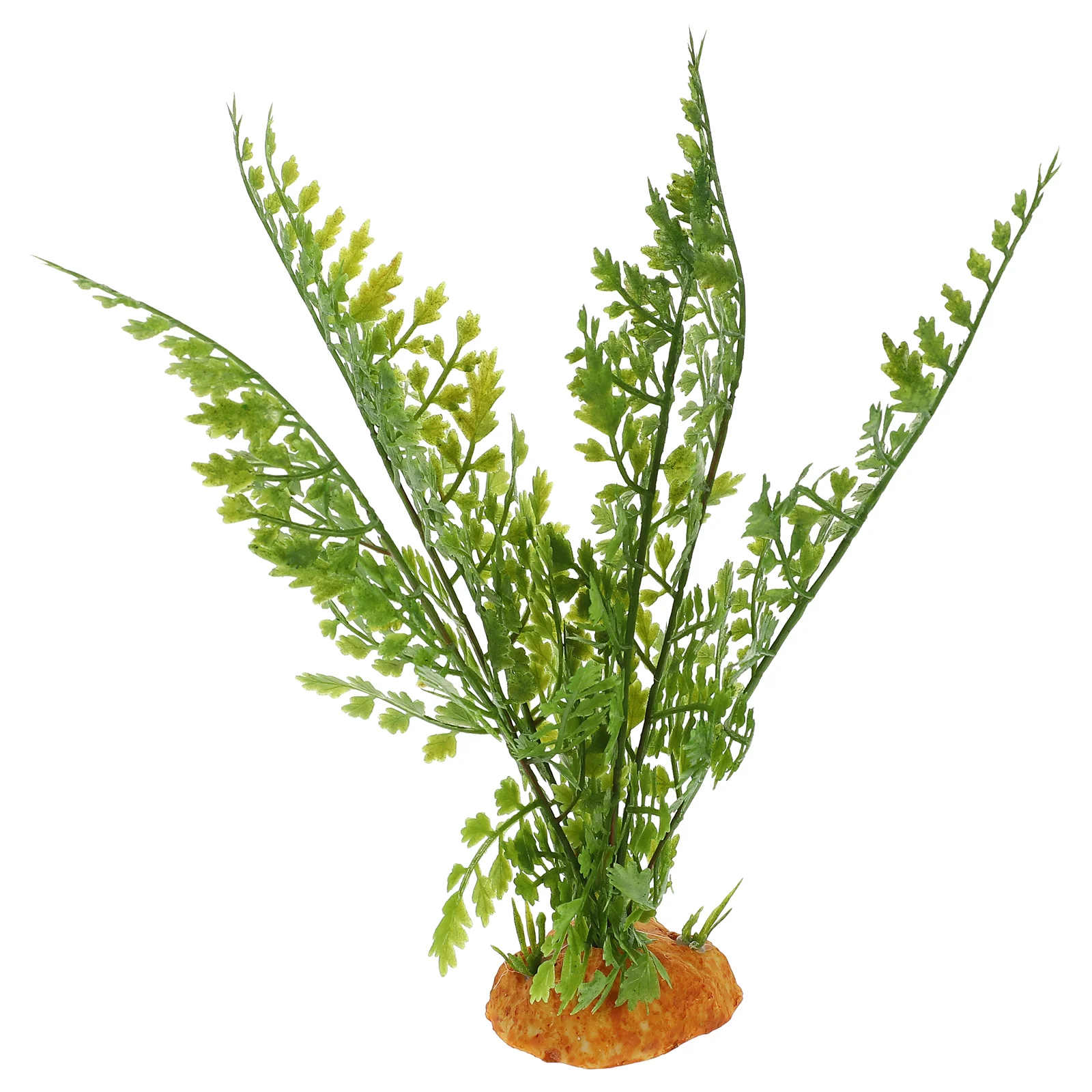 Reptile Plants Terrarium Vines - Aquarium Plant Vine review and price