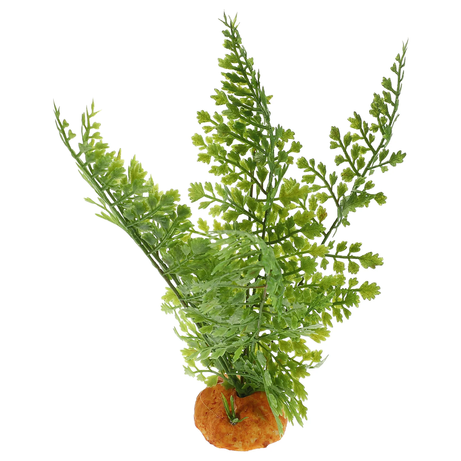 Reptile Plants Terrarium Vines - Aquarium Plant Vine review and price