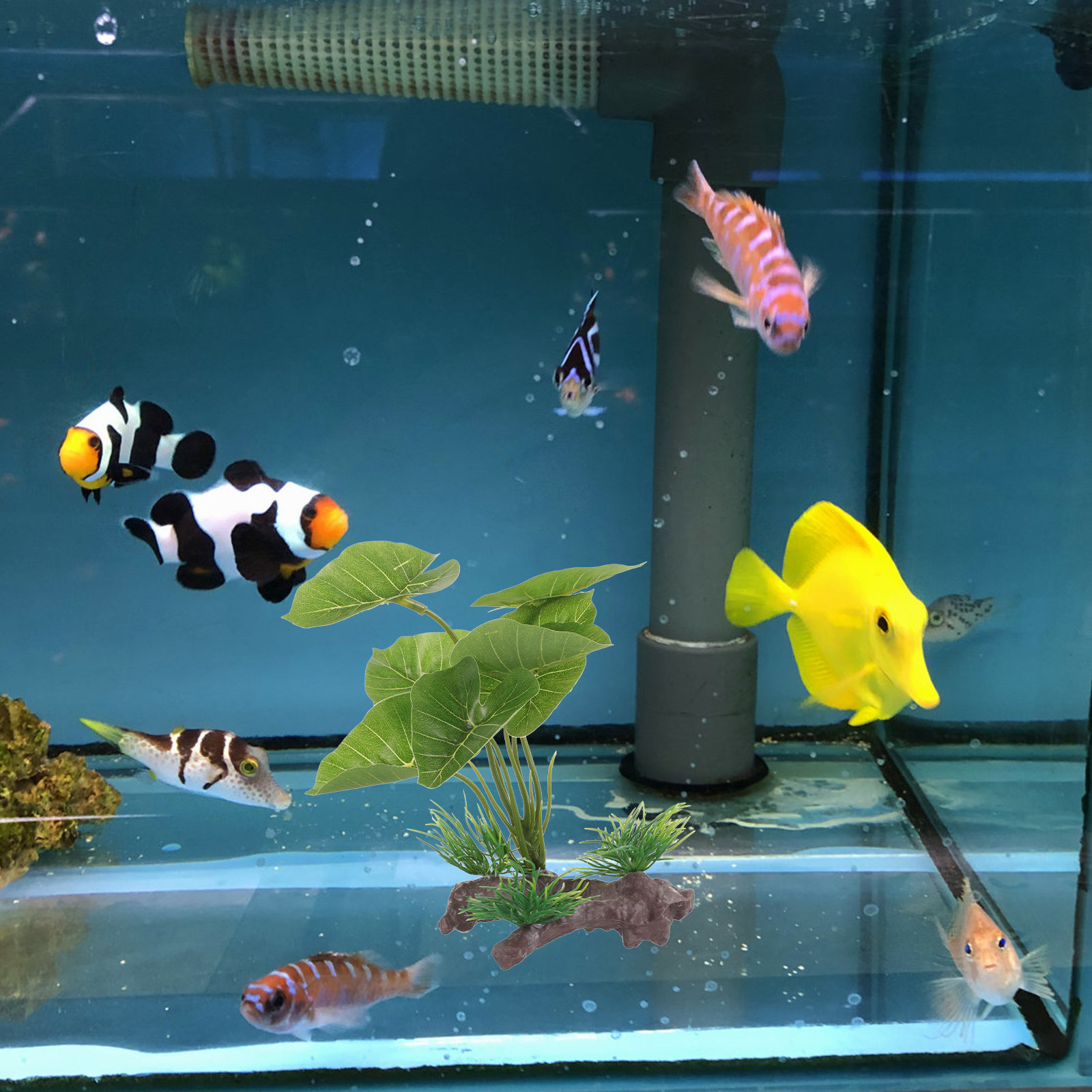 Realistic Plastic Aquarium Pla - Planted Aquarium Care review and price
