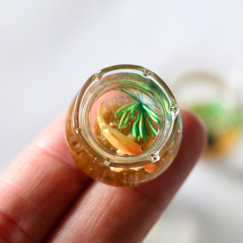 1Pc 1:12 Mini DollHouse Simula - Planted Aquarium Photos review and price