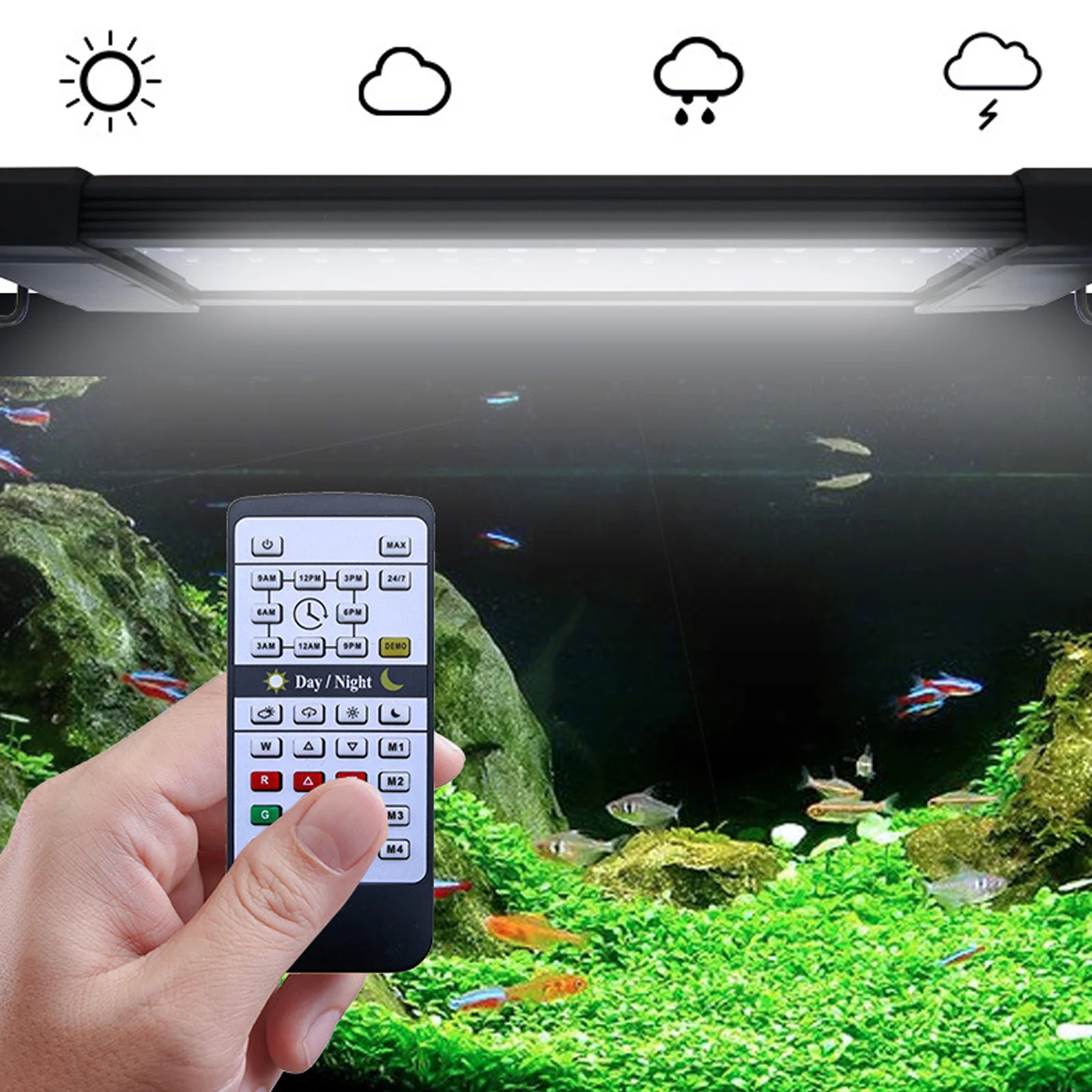 Liweida 24 Hours Natural Light - Aquarium Plant Lab review and price